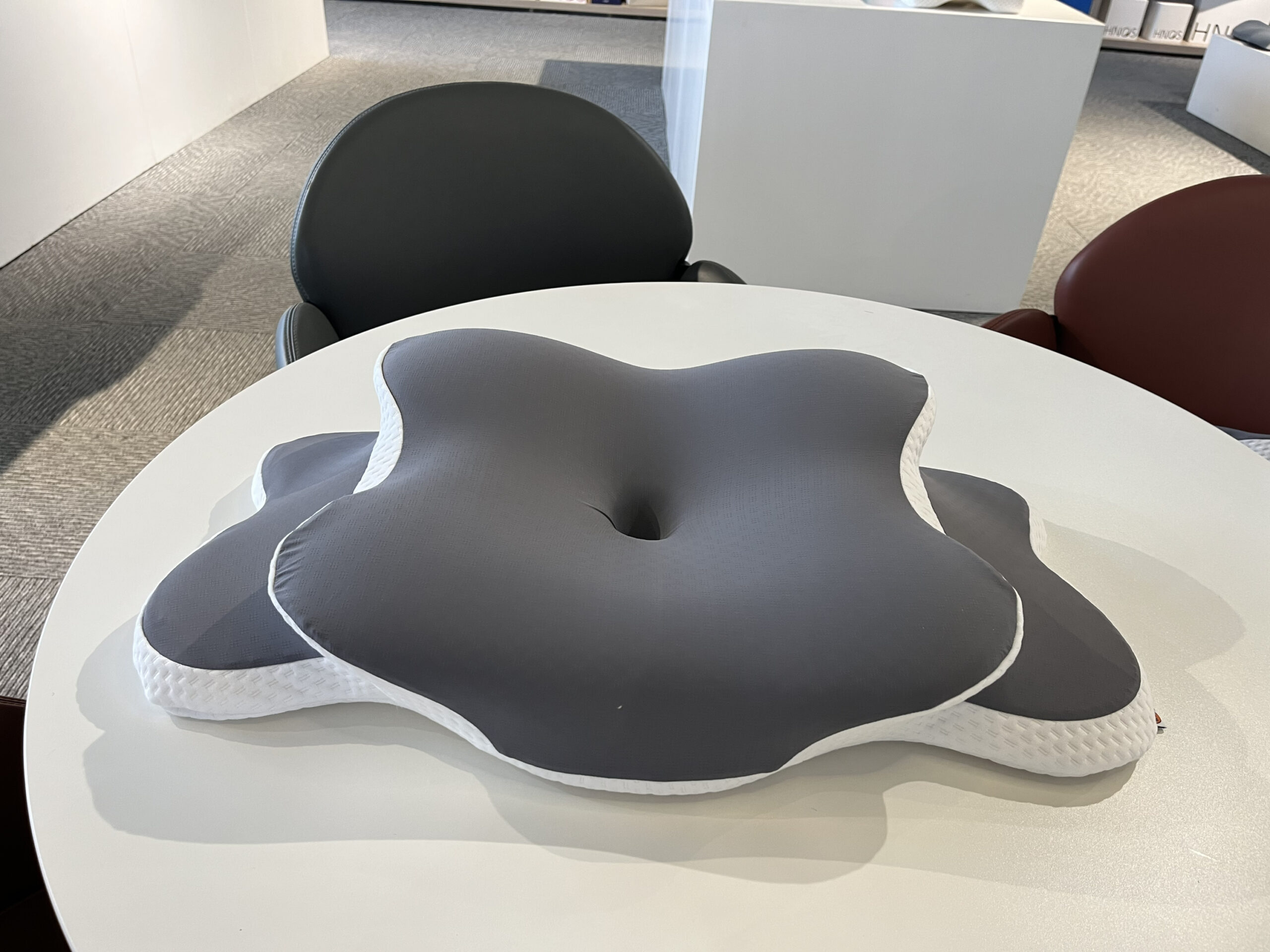 Rufous Back Sleeper Pillow - Image 2